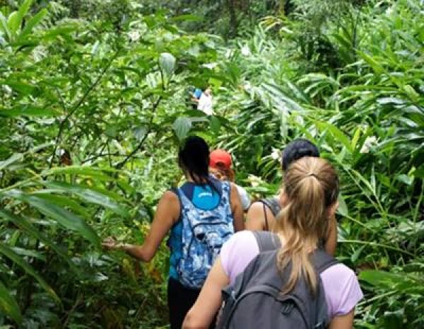 Viagem para Paranapiacaba - Poço Formoso e Quedas do Rio Mogi - 1 dia