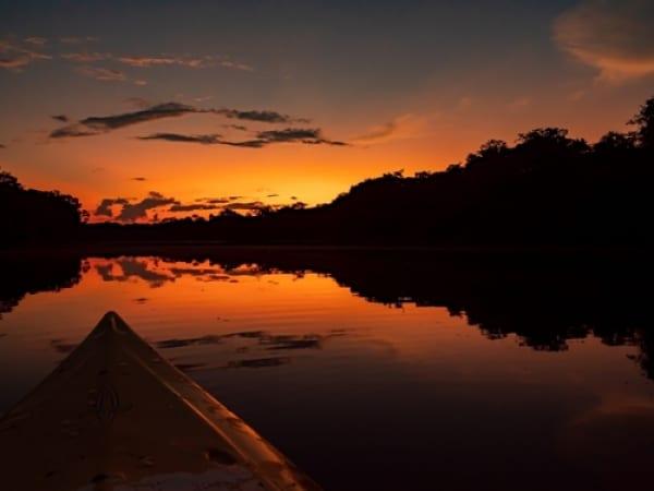 Amazônia - Hotel de Selva Dolphin Lodge - Saída de Manaus - 5 dias