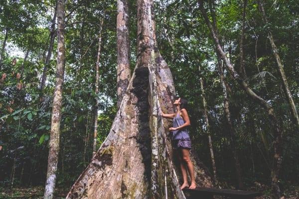 Amazônia - Imersão no Rio Negro, Novo Airão e Presidente Figueiredo - 7 dias