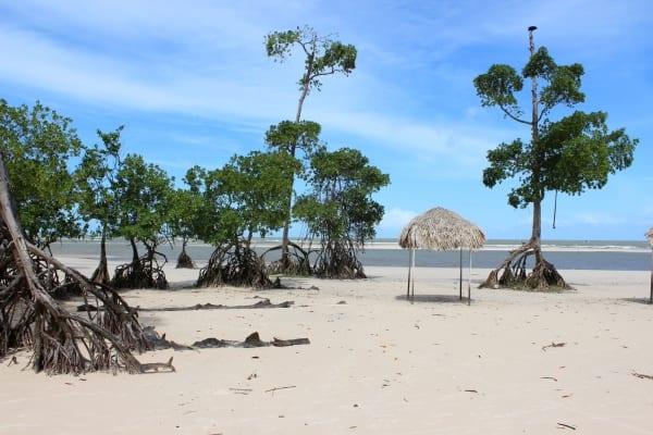 Pacote para Ilha do Marajó - Belezas de Soure - 5 dias