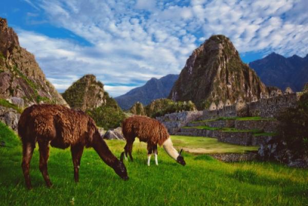 Réveillon no Peru: Lima, Cusco, Vale Sagrado e Machu Picchu - 8 dias