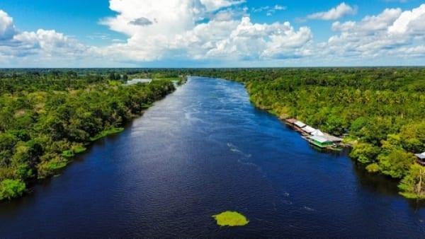 Amazônia- Hotel de Selva Turtle Lodge - Saída de Manaus - 5 dias