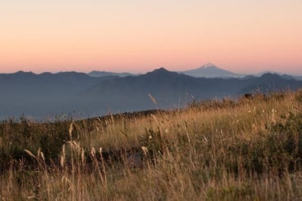 Feriado da Consciência Negra - Conexão com a Natureza de Pucón no Sul do Chile - 7 dias