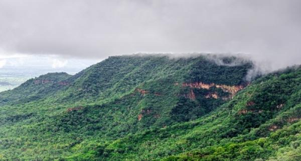 Um Oásis no Sertão: O Cariri Cearense com Chapada do Araripe - 7 dias