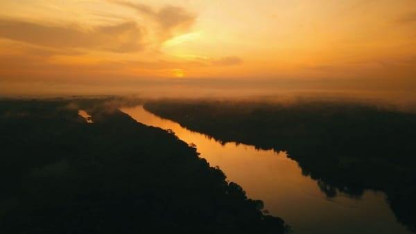 Pacote de Sobrevivência na Floresta Amazônica - 6 dias