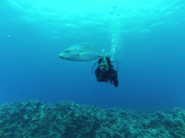 Feriado de Réveillon na Ilha de Páscoa - Entre Vulcões e Lendas de Rapa Nui - 6 dias