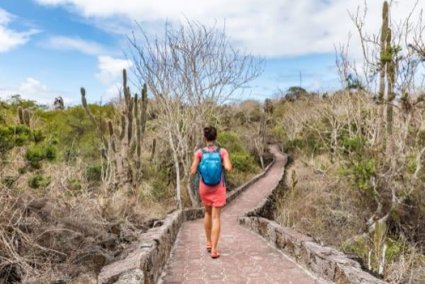 Descobrindo Quito e as Maravilhas das Ilhas Galápagos com Tortuga Bay - 9 dias