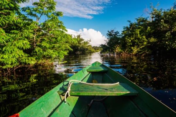 O Melhor da Amazônia: Bate e Volta em Presidente Figueiredo + Hotel de Selva Tupana Lodge - 7 dias