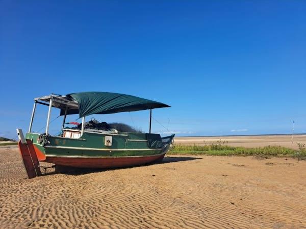 Feriado de Réveillon - Pacote de Experiências Belém e Ilha do Marajó - 6 dias